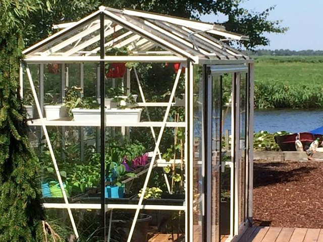 The Benefits of a Polyethylene Tunnel vs. a Glass Greenhouse