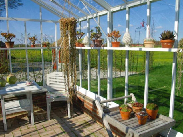 6 Essential Steps for Choosing the Right Greenhouse